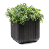 Садовое кашпо Wood Planter (Keter - Израиль)