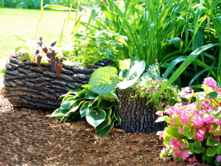 Горшки-цветочницы (дуб) в обустройстве сада